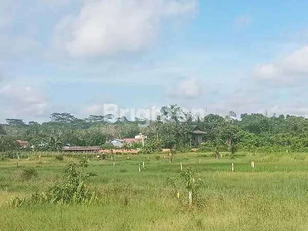 image TANAH KAVLING SIAP BANGUN DI TERITIP, AKSES JALAN RAYA (2)