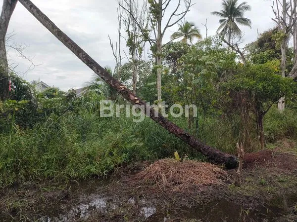 image LAHAN TANAH  2 KAVLING STRATEGIS SIAP BANGUN SAMPING KOMPLEK KATNIS ROYAL, JALAN KARYA KOTA BARU UJUNG (3)