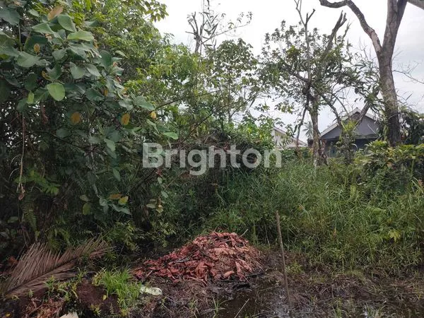 image LAHAN TANAH  2 KAVLING STRATEGIS SIAP BANGUN SAMPING KOMPLEK KATNIS ROYAL, JALAN KARYA KOTA BARU UJUNG (4)