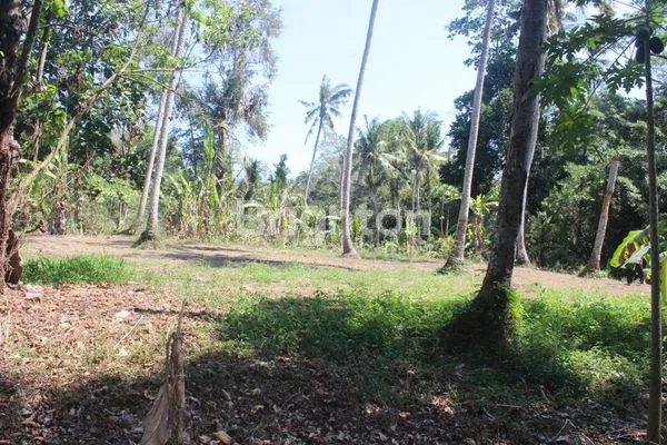 image TANAH STRATEGIS DI KABA KABA , TABANAN - KAWASAN VILLA DENGAN VIEW SUNGAI   (4)