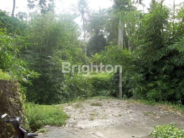 image TANAH STRATEGIS DI KABA KABA , TABANAN - KAWASAN VILLA DENGAN VIEW SUNGAI   (5)