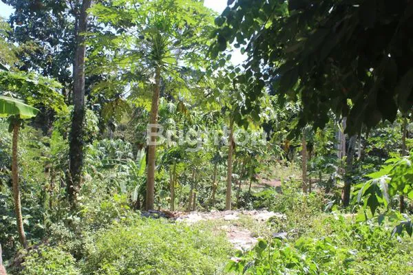 image TANAH STRATEGIS DI KABA KABA , TABANAN - KAWASAN VILLA DENGAN VIEW SUNGAI   (6)