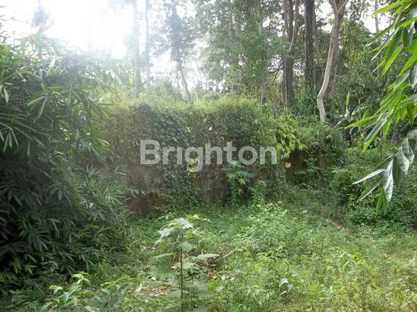 image TANAH STRATEGIS DI KABA KABA , TABANAN - KAWASAN VILLA DENGAN VIEW SUNGAI   (2)