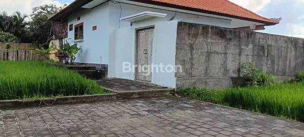 image RUMAH VIEW SAWAH CANTIK DI PANTAI NYANYI - TABANAN (2)