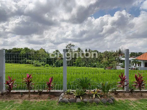 image RUMAH VIEW SAWAH CANTIK DI PANTAI NYANYI - TABANAN (3)