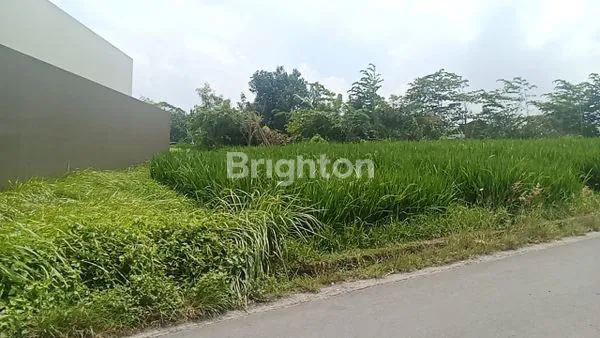 image SEWA TANAH PREMIUM SHM DI BUWIT, COCOK UNTUK USAHA (2)