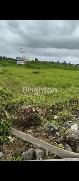 image TANAH PREMIUM 500M² DI PANTAI SESEH, CEMAGI, BALI (3)