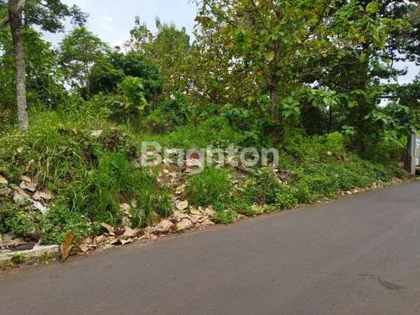 image TANAH SIAP BANGUN PLUS BANGUNAN BESERTA POHON JATI,DURIAN,RAMBUTAN DI MIJEN  SEMARANG BARAT  (4)