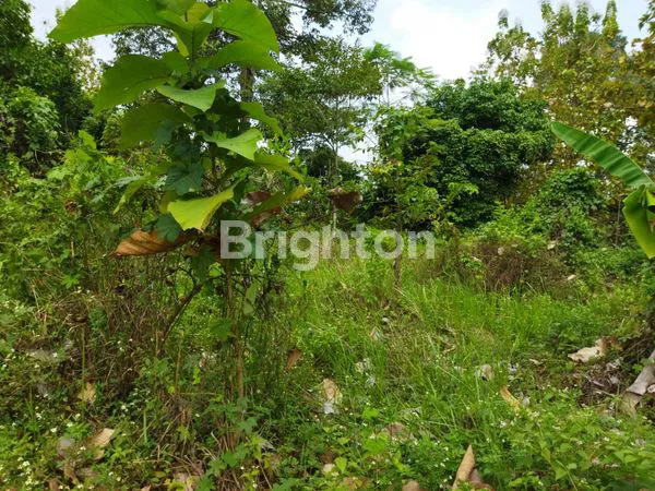 image TANAH SIAP BANGUN PLUS BANGUNAN BESERTA POHON JATI,DURIAN,RAMBUTAN DI MIJEN  SEMARANG BARAT  (5)