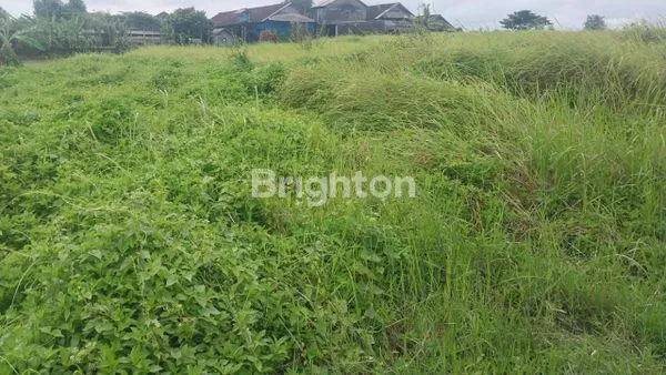 image PREMIUM LAND 16 ARE DI KABA-KABA, VIEW SAWAH ABADI (1)