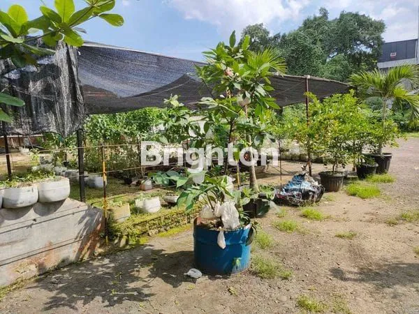 image TANAH JALAN PATTIMURA (5)