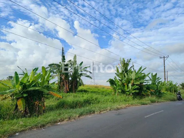 image PREMIUM LAND 16 ARE DI KABA-KABA, VIEW SAWAH ABADI (4)