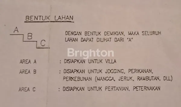 image SAWAH 5890M² CICANTAYAN (8)