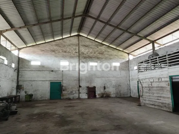 image GUDANG JALAN DAME PERUM DAMRI (4)