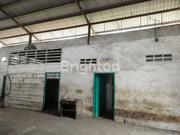 image GUDANG JALAN DAME PERUM DAMRI (3)