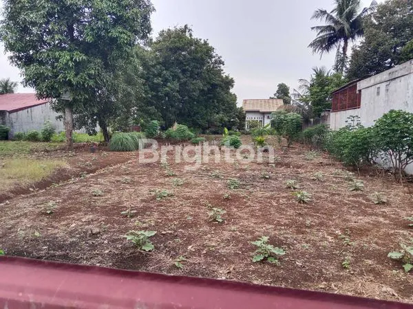 image TANAH PREMIUM 1013M² DI MEDAN JOHOR, LOKASI BISNIS POTENSIAL (2)