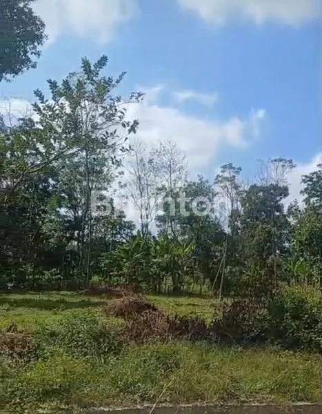 image TANAH DATAR ZONA INDUSTRI / MERAH, LD 120 METER DI PUCANG - BOYOLALI (2)