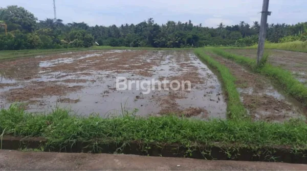 image TANAH 106 ARE DI DESA SUKAWATI, TABANAN DI JL. RAYA DENPASAR-GILIMANUK (3)