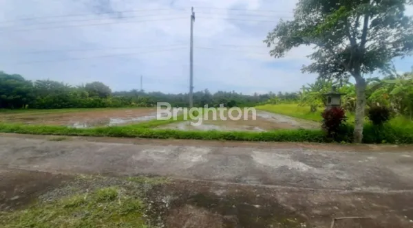 image TANAH 106 ARE DI DESA SUKAWATI, TABANAN DI JL. RAYA DENPASAR-GILIMANUK (1)