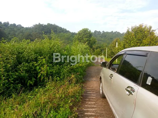 image JUAL TANAH BISA UNTUK PETERNAKAN, TEMPAT WISATA ATAU JUGA PESANTREN (2)