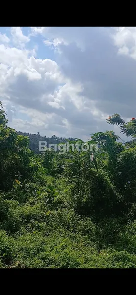 LAHAN PREMIUM DENGAN VIEW EKSOTIS PURA CAMPUHAN UBUD, GIANYAR-BALI