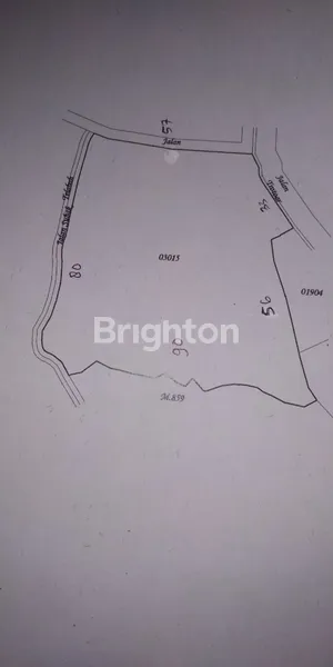 image LAHAN PREMIUM DENGAN VIEW EKSOTIS PURA CAMPUHAN UBUD, GIANYAR-BALI (3)