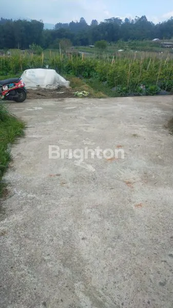 image TANAH KOPENG VIEW GUNUNG  (5)