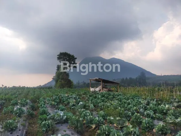 image TANAH KOPENG VIEW GUNUNG  (2)