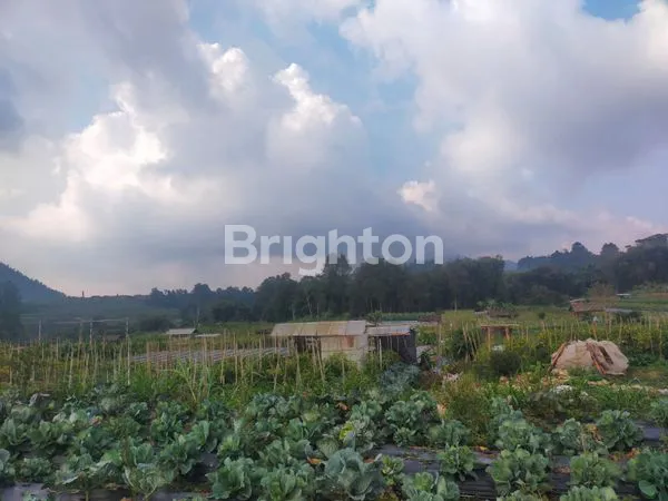 image TANAH KOPENG VIEW GUNUNG  (1)
