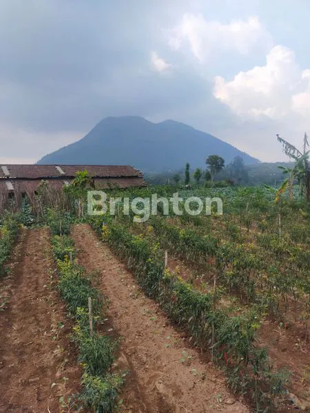 image TANAH KOPENG MURAH COCOK UTK VILLA PRIBADI  (1)