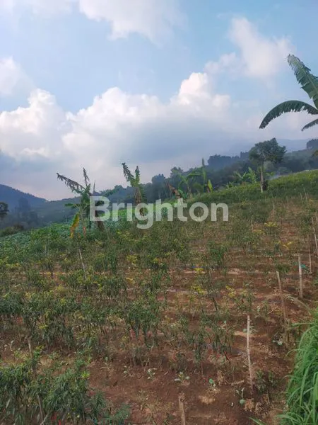 image TANAH KOPENG MURAH COCOK UTK VILLA PRIBADI  (3)