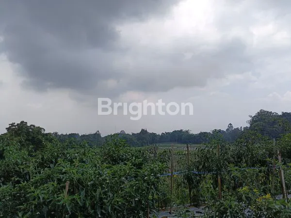 TANAH KOPENG COCOK UNTUK VILLA DAN PERKEBUNAN PRIBADI