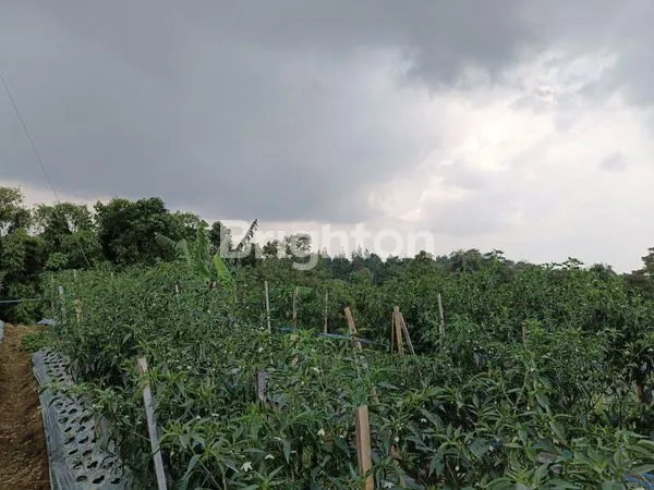 image TANAH KOPENG COCOK UNTUK VILLA DAN PERKEBUNAN PRIBADI (2)