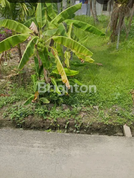 image TANAH PREMIUM 380 METER JL MANDALA  (4)