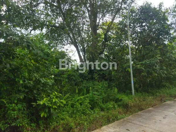 image \UD83C\UDF3F TANAH DIJUAL – LOKASI STRATEGIS DI KAWASAN WISATA BUDAYA PAMPANG, SAMARINDA \UD83C\UDF3F (1)