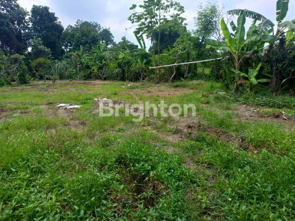 DIJUAL TANAH STRATEGIS DI MUNGGU, COCOK BANGUN VILLA