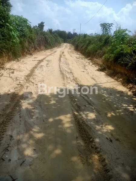 image TANAH PREMIUM 4400M² DEKAT JALAN UTAMA PASIR PUTIH SHM (4)