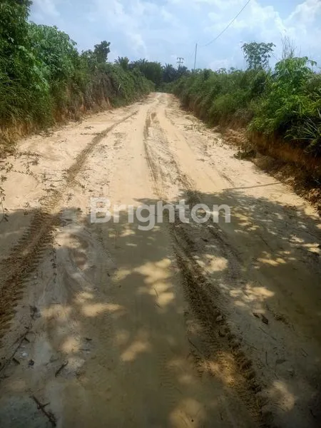 image TANAH PREMIUM 4400M² DEKAT JALAN UTAMA PASIR PUTIH SHM (5)