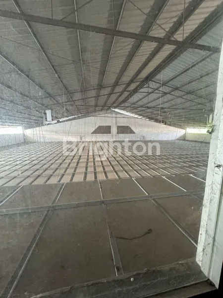 image GUDANG DAN KANTOR (4)