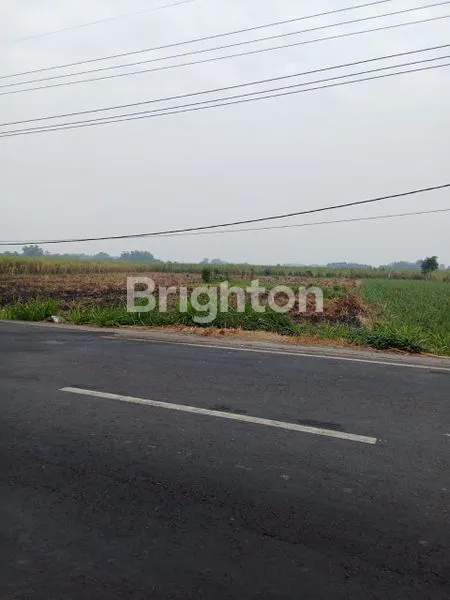 image TANAH KH MANSYUR. 0 JALAN RAYA MOJOKERTO LAMONGAN,  RAYA JAPANAN (2)