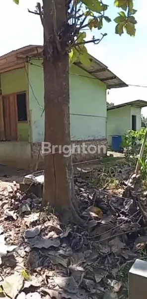 image INVESTASI PREMIUM: 20 HA KEBUN JATI SHM DI BANDAR LAMPUNG (2)