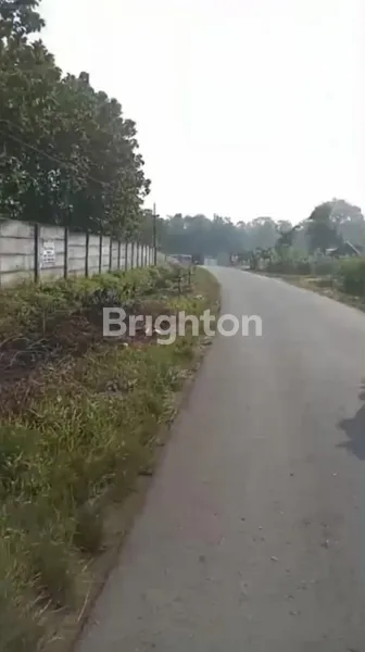 image INVESTASI PREMIUM: 20 HA KEBUN JATI SHM DI BANDAR LAMPUNG (5)