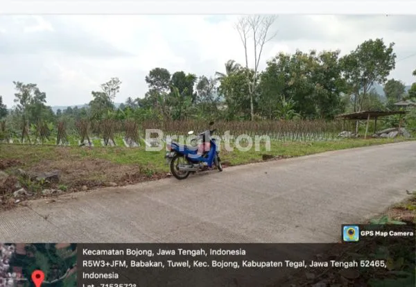 image TANAH LUAS 4160M² PINGGIR JALAN DEKAT WISATA GUCI TEGAL (1)