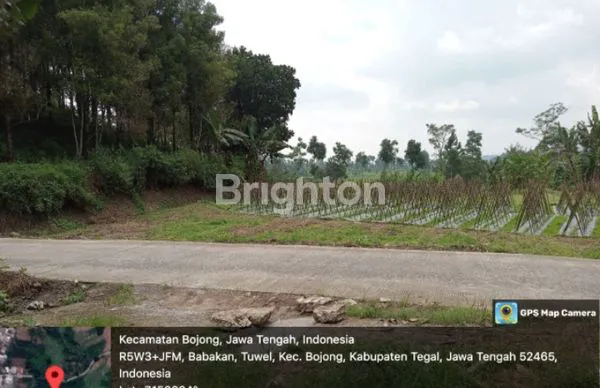 image TANAH LUAS 4160M² PINGGIR JALAN DEKAT WISATA GUCI TEGAL (4)