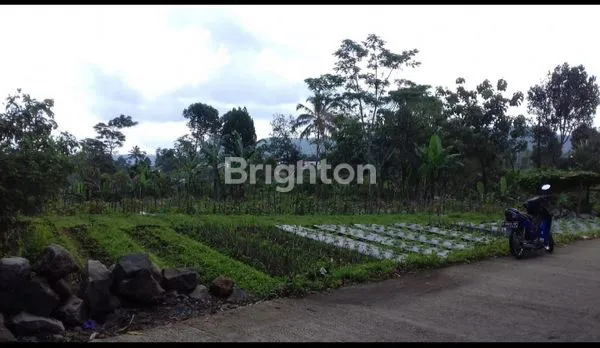 image TANAH LUAS 4160M² PINGGIR JALAN DEKAT WISATA GUCI TEGAL (5)