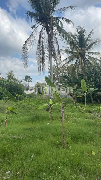 image KAVLING SIAP BANGUN 1 ARE DI JALAN MUNGGU CANGGU SHM (4)