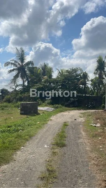 image TANAH CANGGU (3)