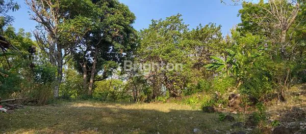 image SURGA INVESTASI: TANAH 18.000M² VIEW LAUT DI BUKIT LOVINA BALI (3)