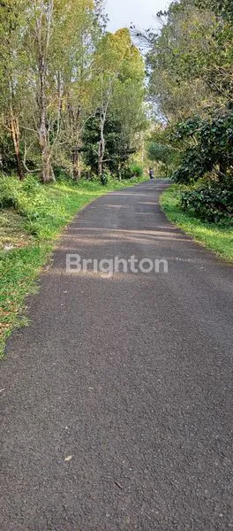image SURGA INVESTASI: TANAH 18.000M² VIEW LAUT DI BUKIT LOVINA BALI (4)