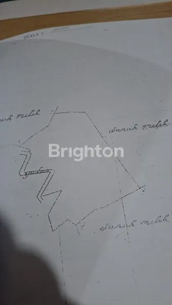 image SURGA INVESTASI: TANAH 18.000M² VIEW LAUT DI BUKIT LOVINA BALI (7)